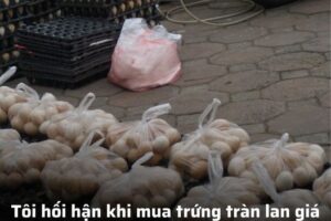 Tôi hối hận khi mua trứng tràn lan giá 1k/1 quả trên vỉa hè, nếu biết sớm hơn thì đã tốt