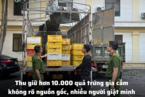 Thu giữ hơn 10.000 quả trứng gia cầm không rõ nguồn gốc, nhiều người giật mình nghĩ đến trứng gà bán 20 nghìn đồng/10 quả tràn lan trên đường