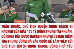 Chiêu trò khiến nữ Chủ tịch UBND huyện Nhơn Trạch bị lừa hơn 170 tỉ đồng