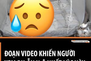 ĐOẠN VIDEO PHẪN NỘ NHẤT LÚC NÀY