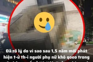 Đã rõ lý do vì sao sau 1,5 năm mới phát hiện t-ử th-i người phụ nữ khô qoeo trong căn hộ cao cấp ở Hà Nội: Tưởng chừng vô lý nhưng rất thuyết phục