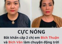 Вắτ 2 chị em cầm đầυ đường dây đẻ thuê với giá 1,5 tỷ đồng/ lần