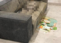 Phát hiện t.h.i t.h.ể nữ giới đã “khô” trên sofa tại căn hộ chung cư Hà Nội