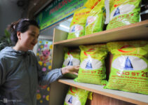 Vượt Thái và Ấn Độ, Việt Nam thành nước xuất khẩu gạo lớn nhất vào Singapore