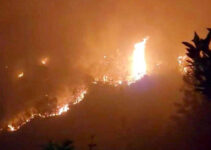 2 kiểm lâm hy sinh, công an vào cuộc điều tra vụ cháy rừng Tây Côn Lĩnh