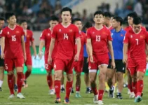 Tuyển Việt Nam nhận tin cực buồn từ FIFA