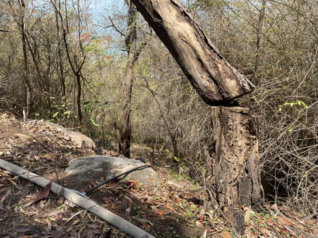 Phát hiện vali chứa th.i t.hể cô gái trẻ nghi bị sát hại trên núi ở Vũng Tàu