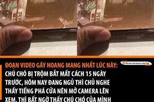 Đoạn video gây hoang mang nhất lúc này