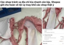 Vụ hoàn hàng bộ bikini đã mặc sau 1 tuần: Xuất hiện hàng loạt Facebook ảo, làm content bẩn câu like