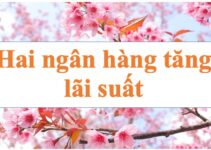 Cập nhật lãi suất ngân hàng hôm nay 22.5