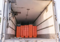 Vụ 8 Người Тᴜ̛̉ ᴠᴏпɡ Trong Container Đông Lạnh: Hé Lộ Về Khoảnh Khắc Nghẹt Thở Vì Tuyệt Vọng Trong “Chiếc Tủ Lạnh Lớn” Của Các Nạn Nhân