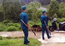 Vụ phát hiện phần chân người ở hồ Tuyền Lâm: Đã tìm thấy t.hi t.hể người phụ nữ