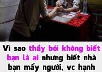 Vì sao thầy bói không biết bạn là ai nhưng biết nhà bạn có mấy người, vợ chồng hạnh phúc hay không: Đọc xong đừng để bị gạt nữa nhé