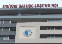 Bộ GD-ĐT chưa nhận được báo cáo của trường ĐH Luật Hà Nội về bằng tiến sĩ của ông Vương Tấn Việt