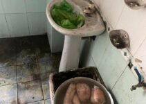 Quán vịt quay siêu bẩn, giòi bò lúc nhúc ở Quảng Ninh bị CA tới kiểm tra trực tiếp: Kết quả ra sao?