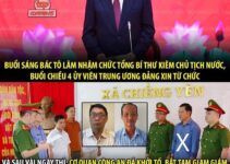 Tổng Bí thư, Chủ tịch nước Tô Lâm: Đẩy mạnh phòng, chống tham nhũng theo phương châm không có vùng cấm, không có ngoại lệ