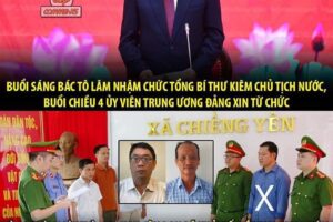 Tổng Bí thư, Chủ tịch nước Tô Lâm: Đẩy mạnh phòng, chống tham nhũng theo phương châm không có vùng cấm, không có ngoại lệ