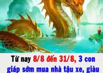 Từ nay 8/8 đến 31/8, 3 con giáp sớm mua nhà tậu xe, giàu có hơn người, thăng hoa thành đạt, trở thành đại gia tiền tỷ