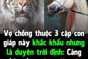 Vợ chồng thuộc 3 cặp con giáp này khắc khẩu nhưng là duyên trời định: Càng bên nhau càng giàu có vương giả