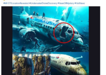 Rộ Ảnh Tìm Thấy X- Á- C Máy Bay MH 3 70 Cùng Các Hành Khách Sau 10 Năm Mất Tích?