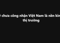 Mỹ chưa công nhận Việt Nam là nền kinh tế thị trường