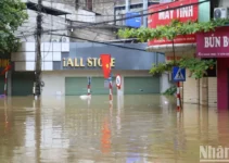 CỰC NÓNG NGAY LÚC NÀY: Nước đã ngập toàn thành phố Tuyên Quang nhà dân chìm sâu