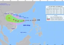 Áp thấp nhiệt đới cách Hoàng Sa 250km