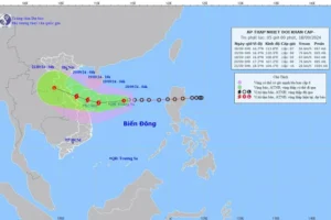 Áp thấp nhiệt đới cách Hoàng Sa 250km