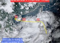 DỰ BÁO BÃO YAGI: CÓ KHẢ NĂNG MẠNH CẤP CUỒNG PHONG (TYPHOON CAT 3)