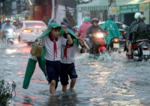 CẬP NHẬT: 4 địa phương cho học sinh nghỉ học để tránh siêu bão Yagi, riêng Hà Nội phát văn bản hỏa tốc