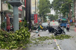 Một phụ nữ tử vong vì cành cây rơi trúng trong cơn mưa ở TP.HCM