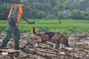 Kỳ tích, tìm thấy 2 hộ dân với 8 nhân khẩu chạy thoát trong lũ quét kinh hoàng Làng Nủ