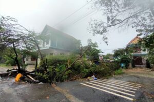 Mẹ tôi đã ‘ra đi’ trong cơn bão, không một lời từ biệt, chỉ để lại tôi với nỗi day dứt suốt đời