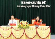 Miễn nhiệm chức Chủ tịch HĐND tỉnh, Chủ tịch UBND tỉnh Bắc Giang