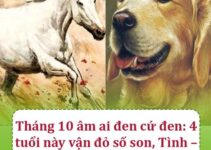 Tháng 10 âm ai đen cứ đen: 4 tuổi này vận đỏ số son, Tình – Tiền đều có