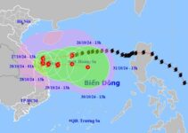 Bão Trà Mi giật cấp 14 hướng vào Trung Trung Bộ, chuyên gia khí tượng cảnh báo nguy hiểm