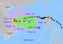 Bão Trà Mi diễn biến phức tạp, từ chiều tối nay các tỉnh sau chú ý