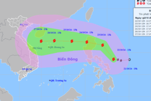 Sáng mai, b;ão Tami sẽ g;iật cấp 14, sóng biển cao 6-8 m, hướng vào Việt Nam