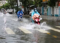 Nam Bộ và miền Trung đón mưa lớn kéo dài