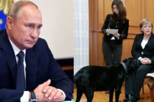 Ông Putin xin lỗi cựu Thủ tướng Đức Angela Merkel