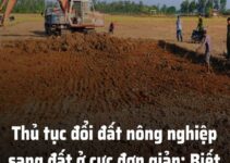 Từ nay đến cuối năm 2024 chuyển đất vườn sang đất ở cực rẻ: Biết thế này thì đổi sớm hơn