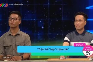 Tổng Giám đốc Đài Truyền hình Việt Nam phản hồi ý kiến chỉ trích sai sót của “Vua tiếng Việt”