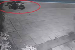 Vụ nữ sinh 15 tuổi ch.ết bất thường trên đường: Rơi từ xe máy “kẹp 3