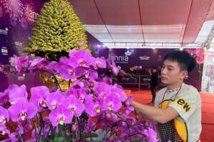 “Việc nhẹ lương cao” tại Hà Nội dịp cận Tết, thu nhập lên tới hàng trăm triệu đồng/tháng