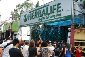 Loạt vi phạm ở công ty đa cấp Herbalife, Liên kết Việt Nam, Perfect Global