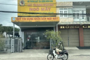 Miễn nhiệm chủ tịch và nữ thành viên HĐQT “mây mưa” trong phòng làm việc