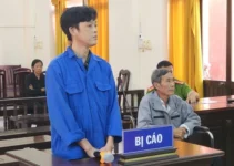 Kiên Giang: Cất 2 khẩu súng trong nhà, cựu trưởng ấp và con lãnh án tù