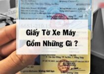 Từ hôm nay: Vợ chồng, người thân đi xe máy của nhau cần có 3 Giấy này, nếu không có thể bị ph:ạt lên tới 8 triệu đồng