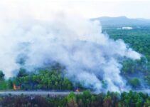 hướng về đảo Phú Quốc ngay lúc này: C::ầu mong điều kinhkhung đó sẽ không xảy ra, sao mà kh::ổ thế trời ơi,…