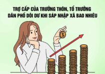 Trưởng thôn, tổ trưởng dân phố dôi dư khi sáp nhập xã được nhận về bao tiền?